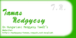 tamas medgyesy business card